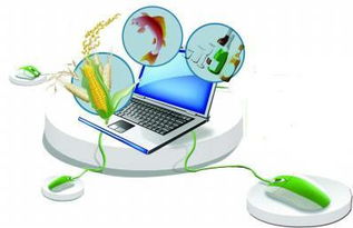 計(jì)算機(jī)網(wǎng)絡(luò)工程驅(qū)動(dòng)農(nóng)村電商市場(chǎng)邁向萬(wàn)億新紀(jì)元