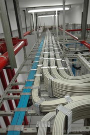 上海辦公室布線公司 打造高效網(wǎng)絡(luò)綜合布線，賦能現(xiàn)代計(jì)算機(jī)網(wǎng)絡(luò)工程